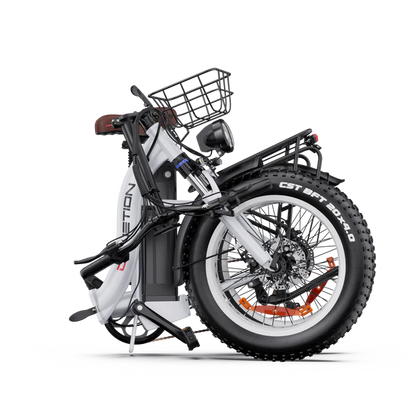 DrVeTion CT20 750W 45km/h Elektrische Fat Bike