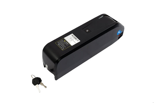 Duotts E26 Samsung Battery 48V 20Ah