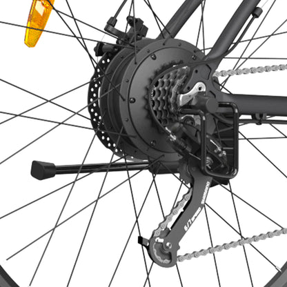 GOGOBEST GM30 750W Elektrische Fiets