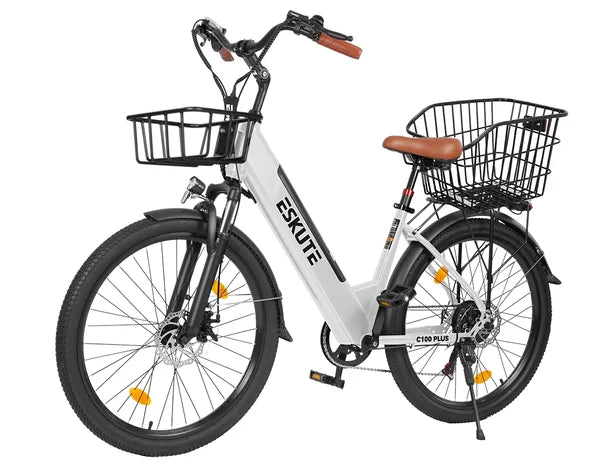 Eskute C100 Plus City E-Bike