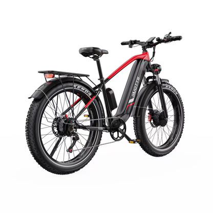 DUOTTS F26 750W*2 Electric Bike