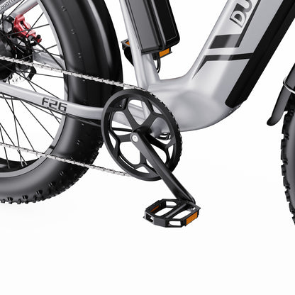 DUOTTS F26 750W*2 Electric Bike