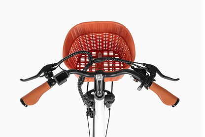 DYU C6 Pro 26-inch 80km Range City Electric Mountain Bike