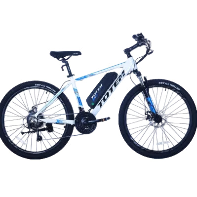 TOTEM Victor 350W Electric Bicycle