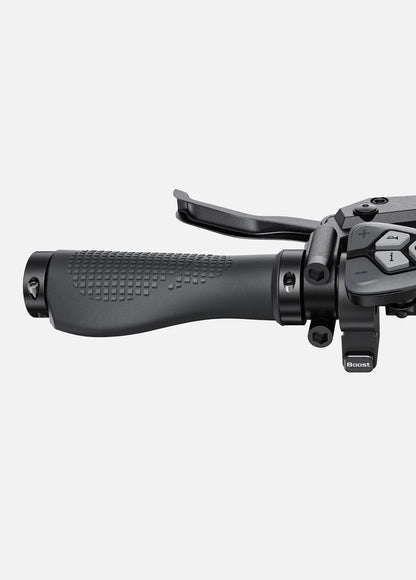 ENGWE L20 Boost Step-Thru E-Bike