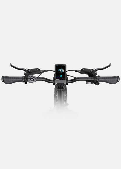ENGWE L20 Boost Step-Thru E-Bike