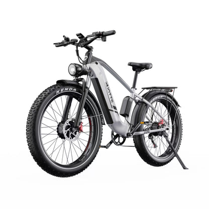DUOTTS F26 750W*2 Electric Bike
