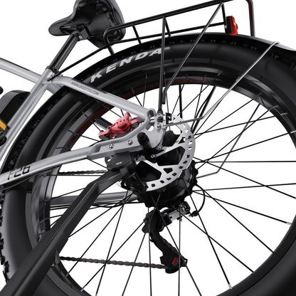 DUOTTS F26 750W*2 Electric Bike