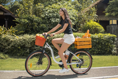 DYU C6 Pro 26-inch 80km Range City Electric Mountain Bike