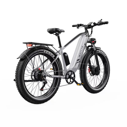 DUOTTS F26 750W*2 Electric Bike