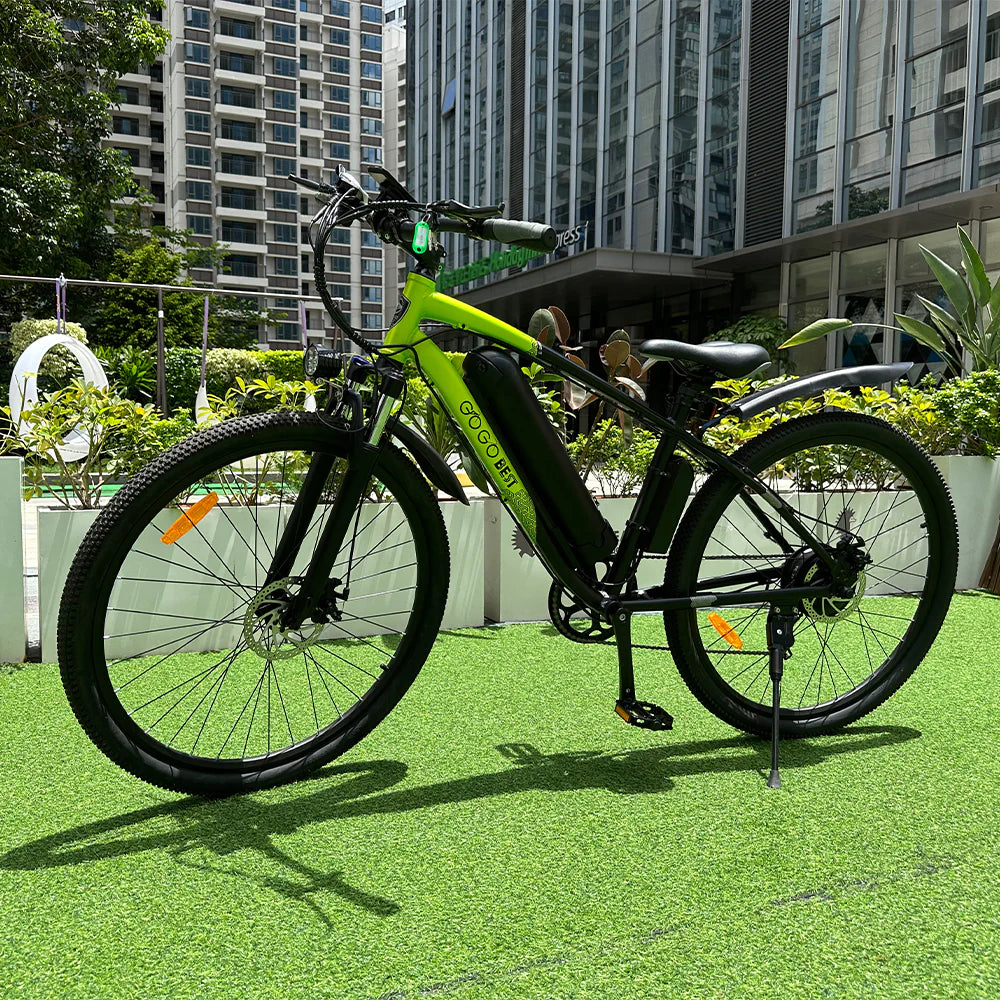 GOGOBEST GM30 750W Elektrische Fiets