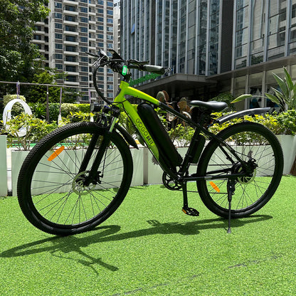 GOGOBEST GM30 750W Elektrische Fiets