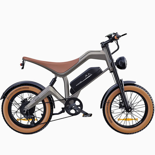 DYU M20 All-Terrain Long-Range Electric Bike