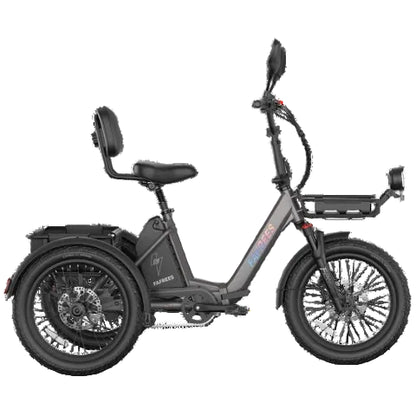 FAFREES F20 Mate II 250W Electric Tricycle