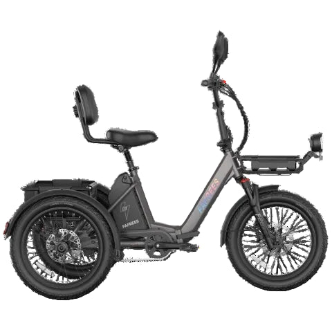 FAFREES F20 Mate II 250W Electric Tricycle