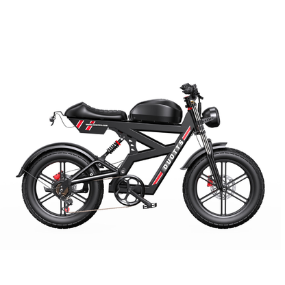 DUOTTS F20 Powerful Electric Bike with 750W Motor (Peak 1000W)