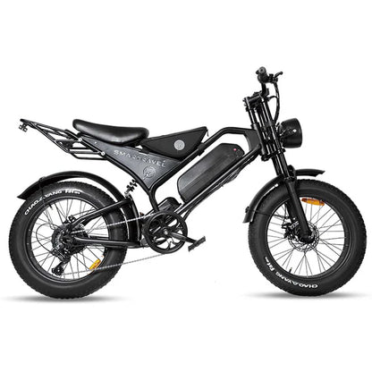 ZM DK401 1000W High-Performance Electric Mountain Motorcycle