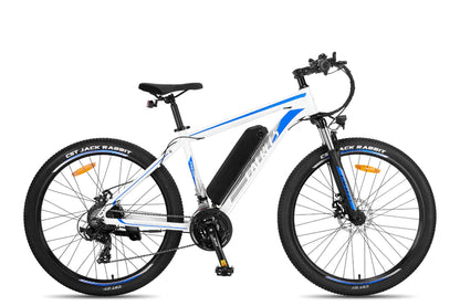 FAFREES F28 MT 250W Vélo électrique