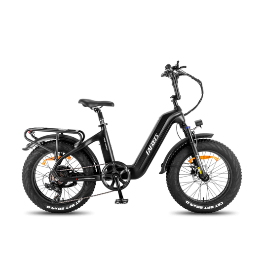 FAFREES F20 Master 500W (Dauerleistung) 690W (Spitzenleistung) Elektrofahrrad