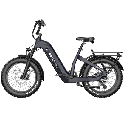 SAMEBIKE RS-A01 Plus 750W Elektrische Stadsfiets