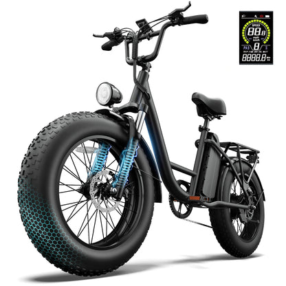 URLIFE E20 Pro electric bicycle product view