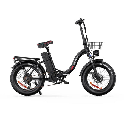 DrVeTion CT20 750W 45km/h Elektrische Fat Bike