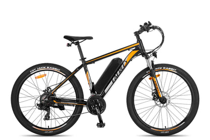 FAFREES F28 MT 250W Vélo électrique