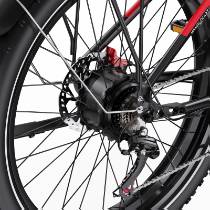 DUOTTS F26 750W*2 Electric Bike