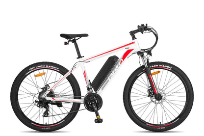 FAFREES F28 MT 250W Vélo électrique