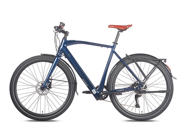 FAFREES F100 250W Elektrische Mountainbike