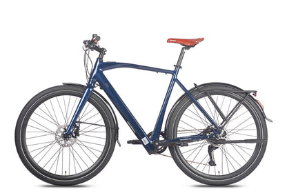 FAFREES F100 250W Elektrische Mountainbike