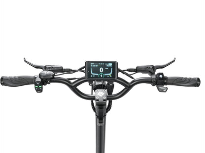 HILEY Tiger10 GTR 1400W*2 Elektrische Scooter