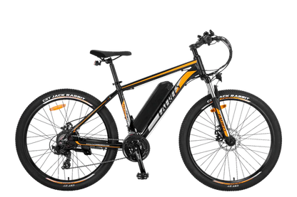 FAFREES F28 MT 27.5" Wheel  Electric Mountain Bike