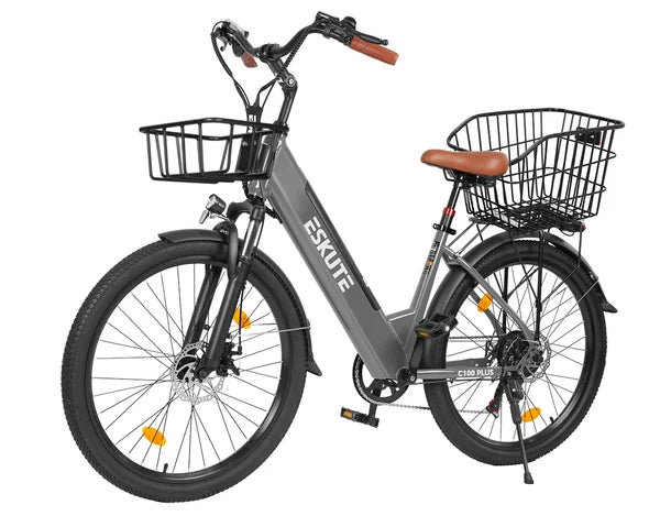 Eskute C100 Plus City E-Bike
