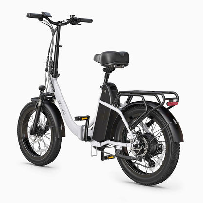 DYU C9 20-Inch Long-Range Foldable Electric Bike