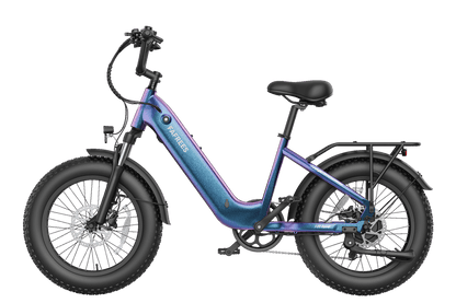 FAFREES F20 Rover elektrinis dviratis – produkto vaizdas 19