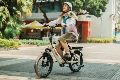 Fafrees F20+ Langeafstand All-Terrain Elektrische Fiets met Brede Banden