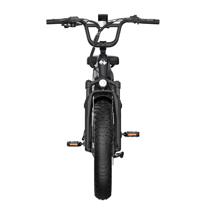 SAMEBIKE RS-A01 Plus 750W Elektrische Stadsfiets