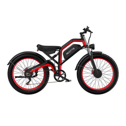 DUOTTS N26 750*2 Bicicleta elétrica com acelerador