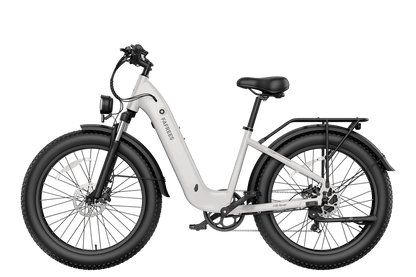 FAFREES F26 Rover elektrinis dviratis – produkto vaizdas 14