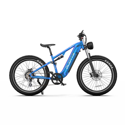 DUOTTS E26 48V 20AH 750W Elektrische Fiets