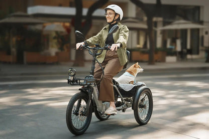 FAFREES F20 Mate II 250W Electric Tricycle