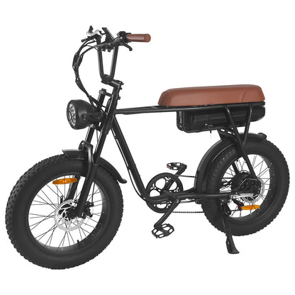 Vélo de montagne électrique SAIBAIKE FXH006 750W à gros pneus