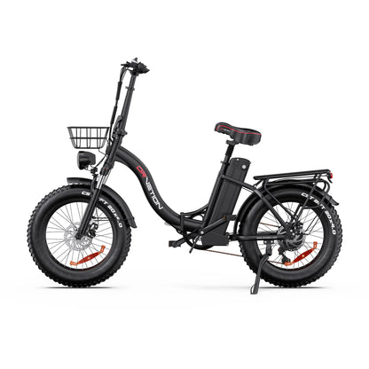 DrVeTion CT20 750W 45km/h Elektrische Fat Bike