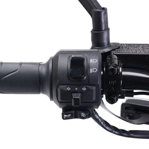 BEZIOR XIAONIU B 1500W High-Power Electric Motorcycle