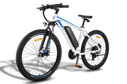 FAFREES F28 MT 250W Vélo électrique
