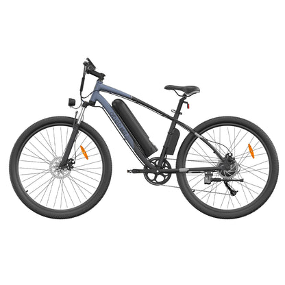 GOGOBEST GM30 750W Elektrische Fiets
