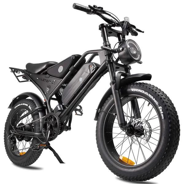 ZM DK401 1000W High-Performance Electric Mountain Motorcycle