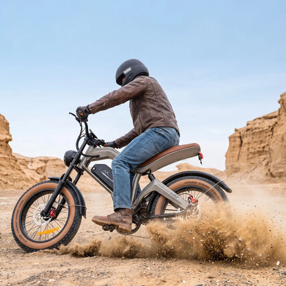 DYU M20 All-Terrain Long-Range Electric Bike