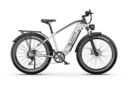 DUOTTS F26 750W*2 Elektrofahrrad